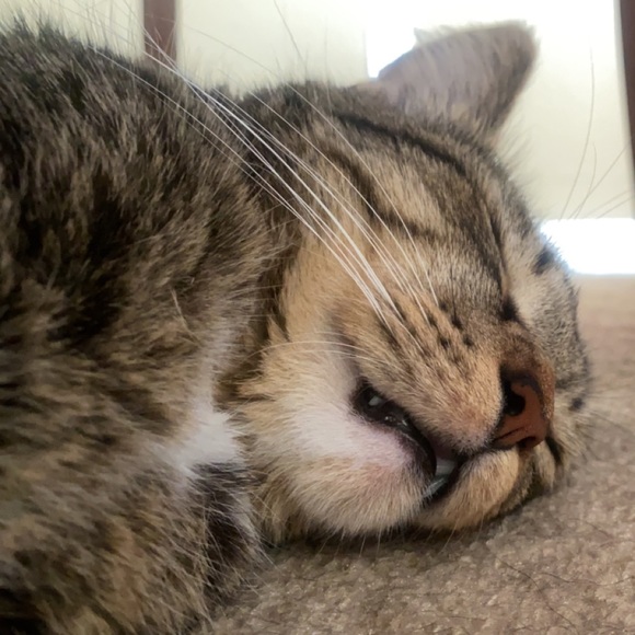 freddy - Picture 2 of 16